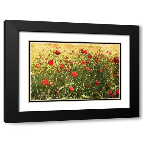 Pack Of Poppies Black Modern Wood Framed Art Print with Double Matting by Villa, Mlli