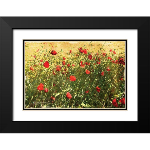 Pack Of Poppies Black Modern Wood Framed Art Print with Double Matting by Villa, Mlli