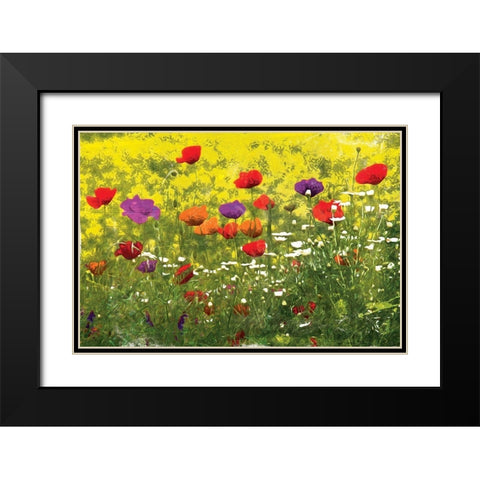 Another Pack Of Poppies Black Modern Wood Framed Art Print with Double Matting by Villa, Mlli