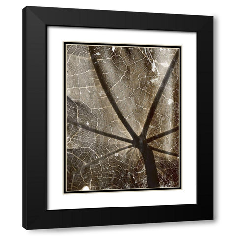Reach Black Modern Wood Framed Art Print with Double Matting by Villa, Mlli