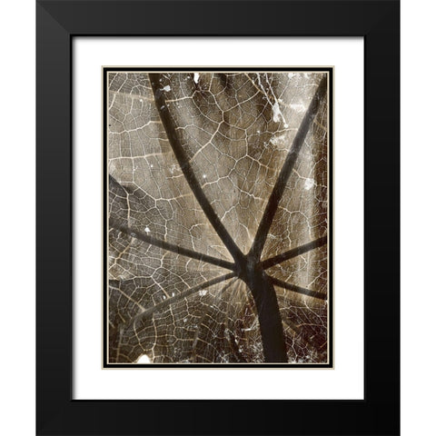 Reach Black Modern Wood Framed Art Print with Double Matting by Villa, Mlli