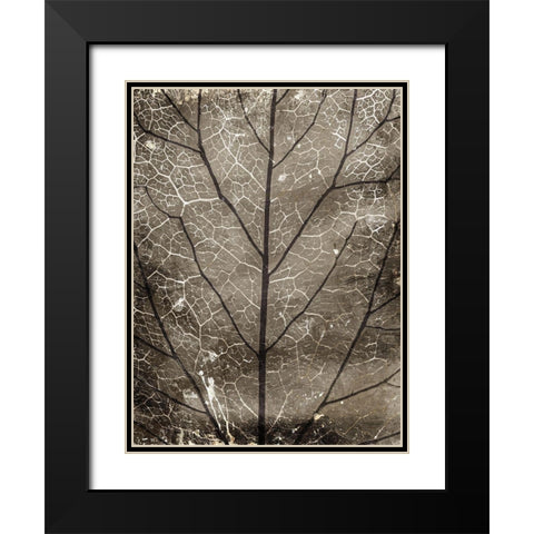 Path Black Modern Wood Framed Art Print with Double Matting by Villa, Milli