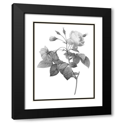 Greyscale Floral Three Black Modern Wood Framed Art Print with Double Matting by Villa, Mlli