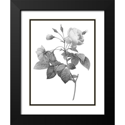 Greyscale Floral Three Black Modern Wood Framed Art Print with Double Matting by Villa, Mlli