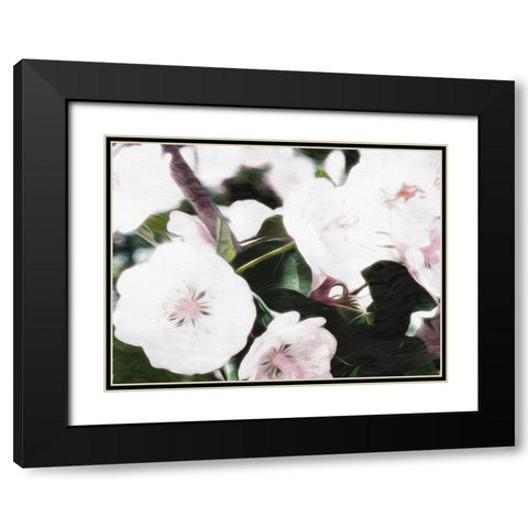Brights Black Modern Wood Framed Art Print with Double Matting by Villa, Mlli