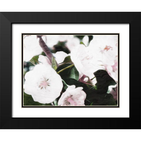 Brights Black Modern Wood Framed Art Print with Double Matting by Villa, Mlli