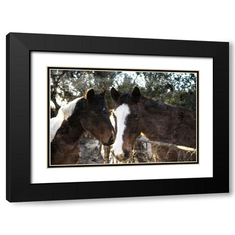 Horse Looks Black Modern Wood Framed Art Print with Double Matting by Villa, Mlli
