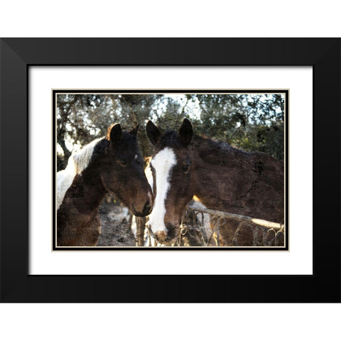 Horse Looks Black Modern Wood Framed Art Print with Double Matting by Villa, Mlli