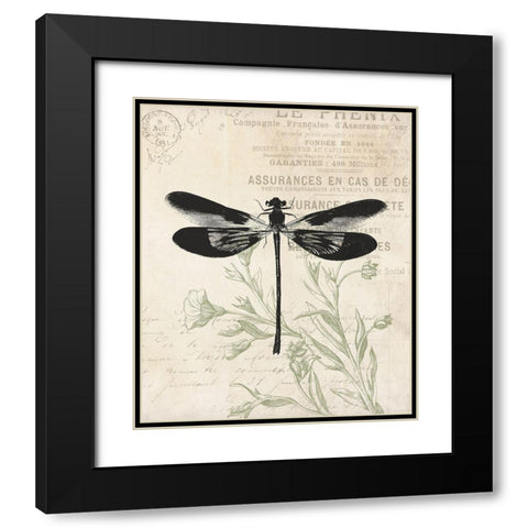 Vintage Insects Black Modern Wood Framed Art Print with Double Matting by Villa, Mlli