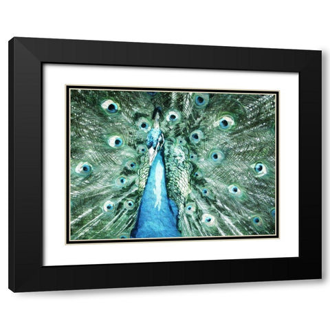 Looking Peacock Black Modern Wood Framed Art Print with Double Matting by Villa, Mlli