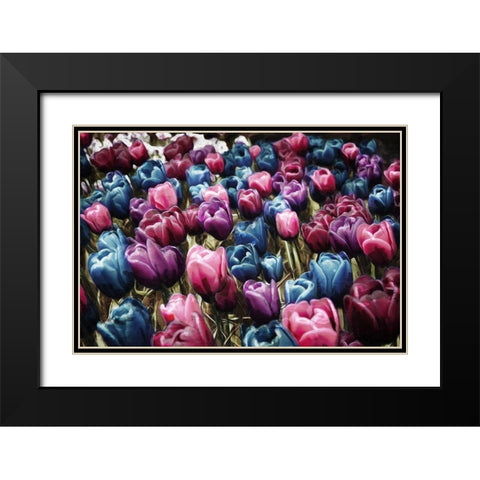 Colorful Tulips Black Modern Wood Framed Art Print with Double Matting by Villa, Mlli