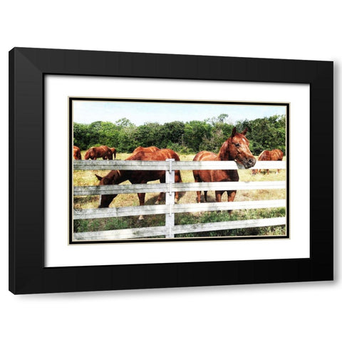 Horse Farm Black Modern Wood Framed Art Print with Double Matting by Villa, Mlli
