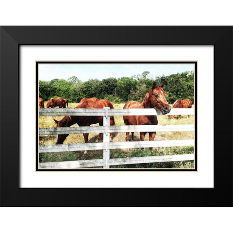 Horse Farm Black Modern Wood Framed Art Print with Double Matting by Villa, Mlli