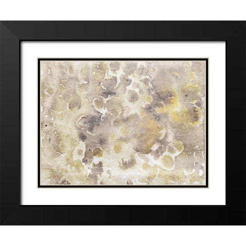 Soft Flower Bursts Black Modern Wood Framed Art Print with Double Matting by Villa, Mlli