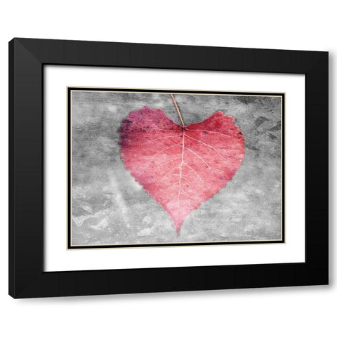 Love Leaves Black Modern Wood Framed Art Print with Double Matting by Villa, Mlli