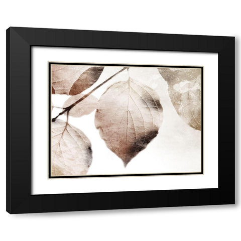 Soft Neutral Leaves Black Modern Wood Framed Art Print with Double Matting by Villa, Mlli
