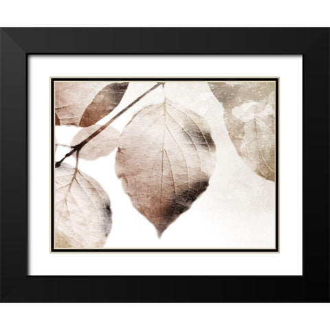 Soft Neutral Leaves Black Modern Wood Framed Art Print with Double Matting by Villa, Mlli
