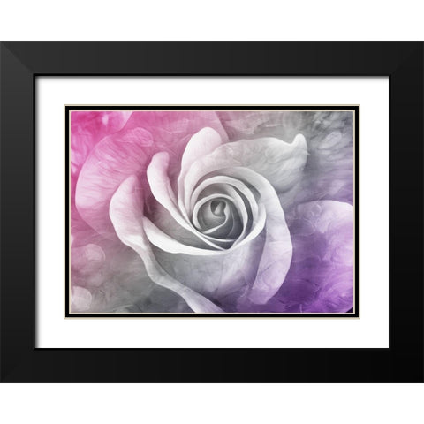 Look At That Rose Black Modern Wood Framed Art Print with Double Matting by Villa, Mlli