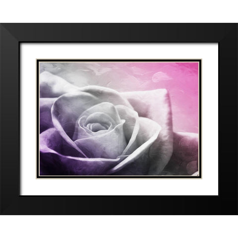 And Look At That Rose Black Modern Wood Framed Art Print with Double Matting by Villa, Mlli