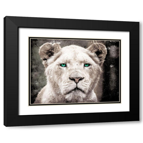 Lioness Look Black Modern Wood Framed Art Print with Double Matting by Villa, Mlli