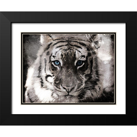 Tiger Look Black Modern Wood Framed Art Print with Double Matting by Villa, Mlli