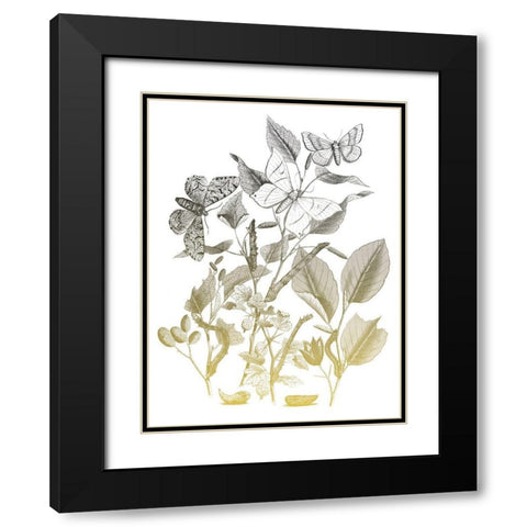 Flower and Bugs A Black Modern Wood Framed Art Print with Double Matting by Villa, Mlli