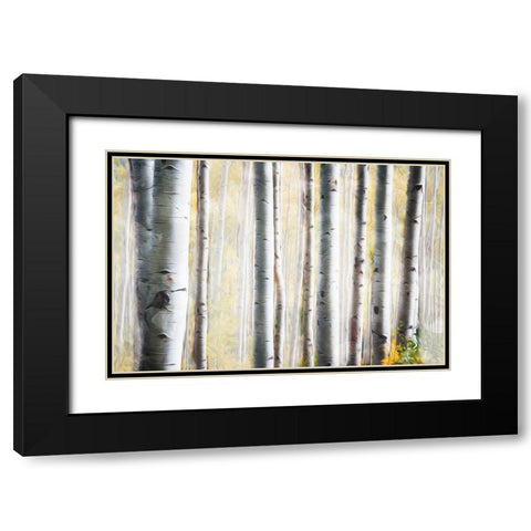 Birch Family Black Modern Wood Framed Art Print with Double Matting by Villa, Mlli