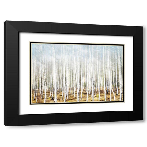 Birch In The Woods Black Modern Wood Framed Art Print with Double Matting by Villa, Mlli