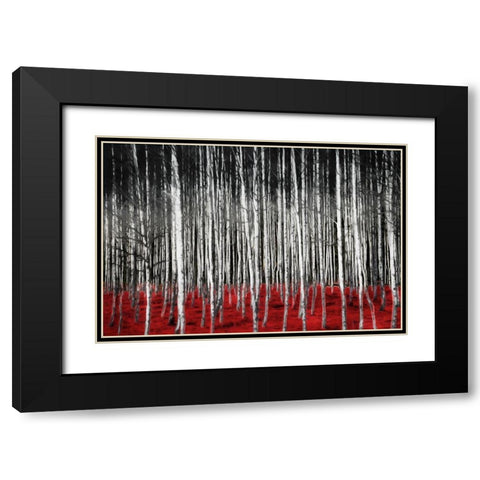 Birch In The Woods At Night Black Modern Wood Framed Art Print with Double Matting by Villa, Mlli