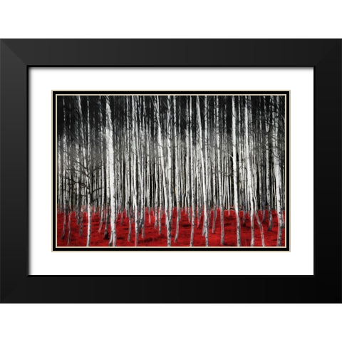 Birch In The Woods At Night Black Modern Wood Framed Art Print with Double Matting by Villa, Mlli