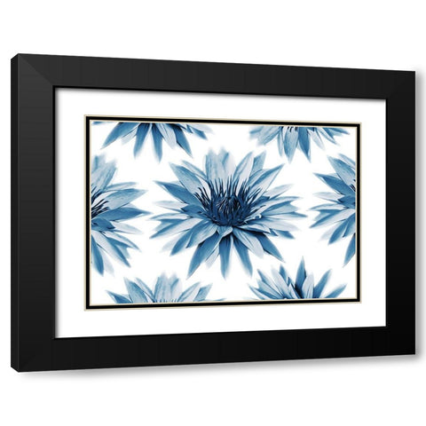 Hypnotizing Flowers Black Modern Wood Framed Art Print with Double Matting by Villa, Mlli