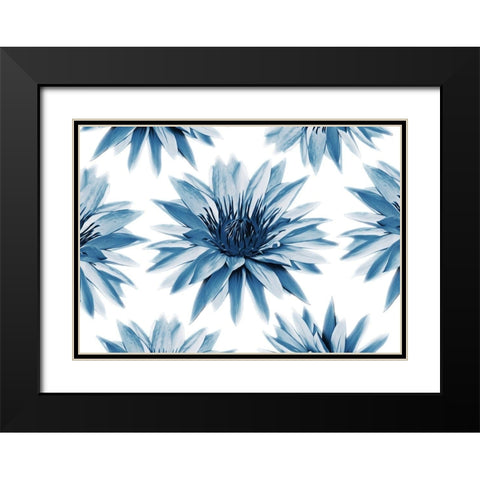 Hypnotizing Flowers Black Modern Wood Framed Art Print with Double Matting by Villa, Mlli