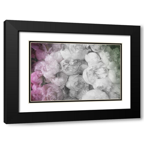 White to Pink Flowers Black Modern Wood Framed Art Print with Double Matting by Villa, Milli