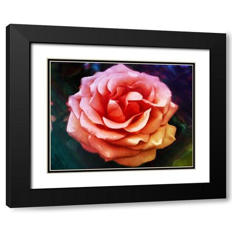 Bright Rose Black Modern Wood Framed Art Print with Double Matting by Villa, Mlli