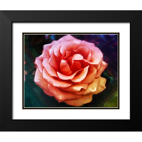 Bright Rose Black Modern Wood Framed Art Print with Double Matting by Villa, Mlli
