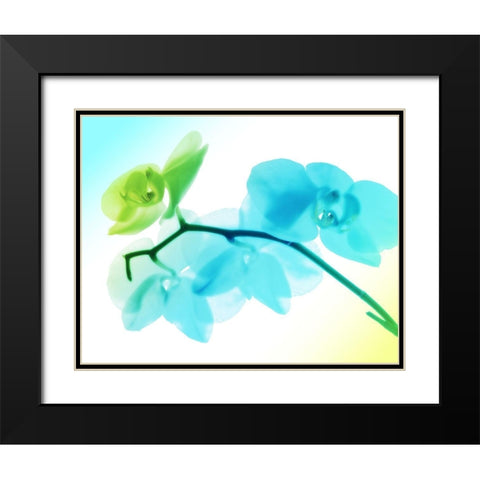Electric Orchids Black Modern Wood Framed Art Print with Double Matting by Villa, Mlli