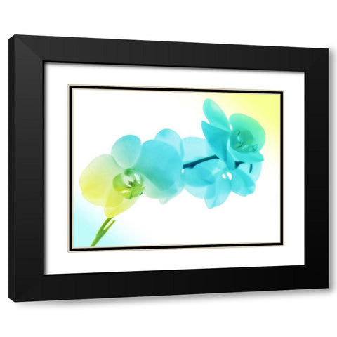 Electric Orchids 2 Black Modern Wood Framed Art Print with Double Matting by Villa, Mlli