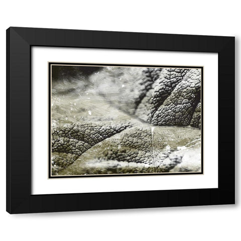 Charcoal Leaves Black Modern Wood Framed Art Print with Double Matting by Villa, Mlli