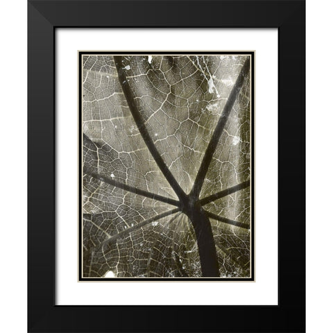 Leaf Umbrella Black Modern Wood Framed Art Print with Double Matting by Villa, Mlli