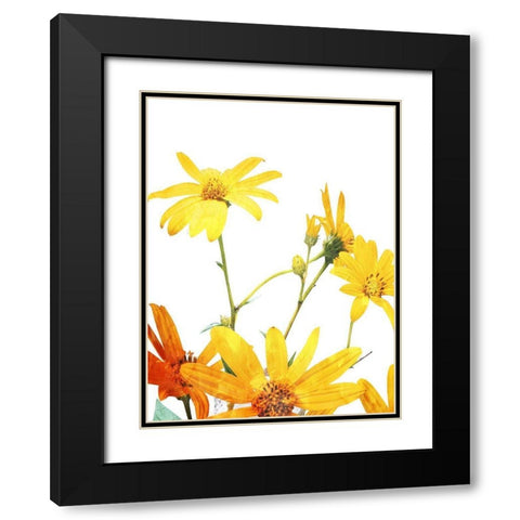 Vibrant Flowers Black Modern Wood Framed Art Print with Double Matting by Villa, Mlli