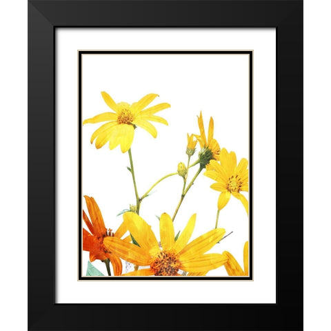 Vibrant Flowers Black Modern Wood Framed Art Print with Double Matting by Villa, Mlli