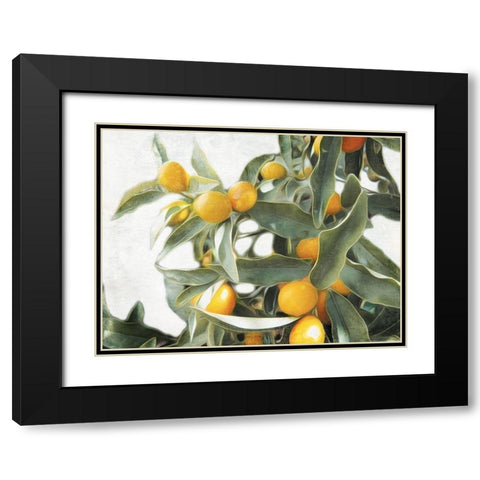 Lemons Black Modern Wood Framed Art Print with Double Matting by Villa, Mlli