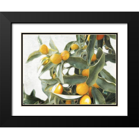 Lemons Black Modern Wood Framed Art Print with Double Matting by Villa, Mlli