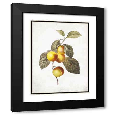 Less Lemons Black Modern Wood Framed Art Print with Double Matting by Villa, Mlli