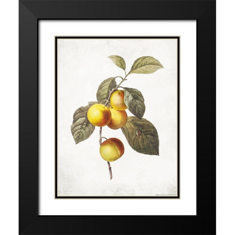 Less Lemons Black Modern Wood Framed Art Print with Double Matting by Villa, Mlli
