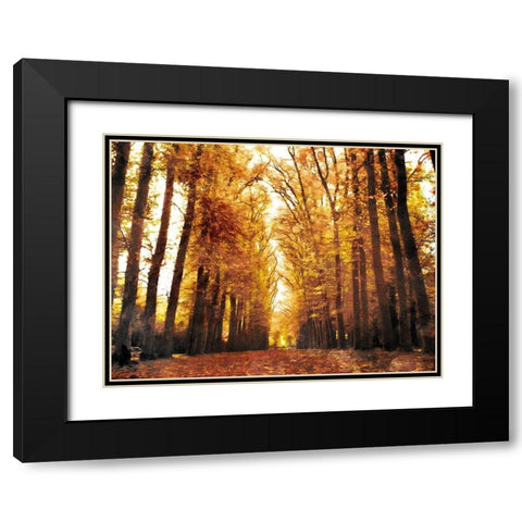 Fallow Your Path Black Modern Wood Framed Art Print with Double Matting by Villa, Mlli