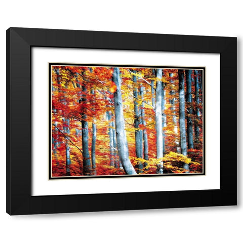 Fall Is Here Black Modern Wood Framed Art Print with Double Matting by Villa, Mlli