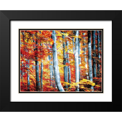 Fall Is Here Black Modern Wood Framed Art Print with Double Matting by Villa, Mlli