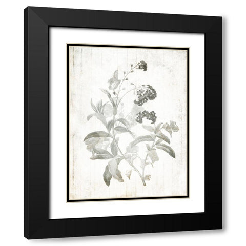 Soft Flowers On Wood Mate Black Modern Wood Framed Art Print with Double Matting by Villa, Mlli
