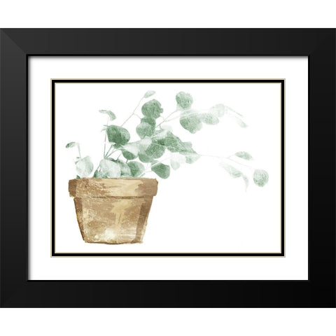 Eucalyptus Planted Black Modern Wood Framed Art Print with Double Matting by Villa, Mlli